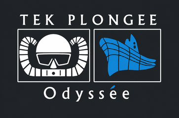 Logo original Tek Plong&eacute;e Odyss&eacute;e